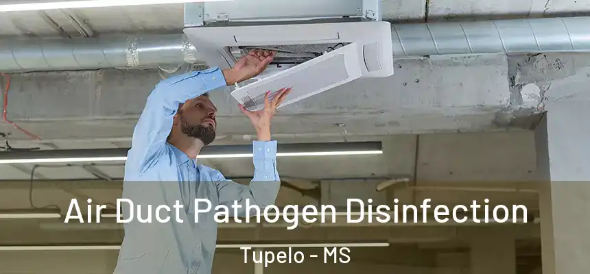  Air Duct Pathogen Disinfection Tupelo - MS