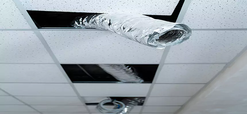 Our Air Duct Pet Hair Removal Services in Tupelo, MS