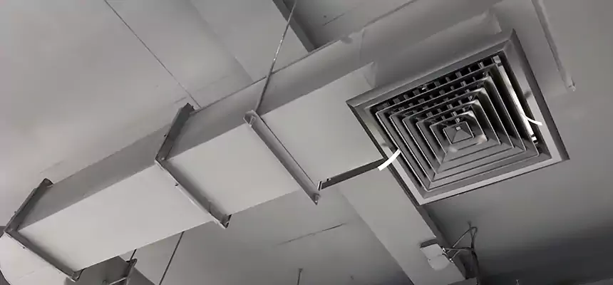 Our Pest Removal From Ducts Services in Tupelo, MS