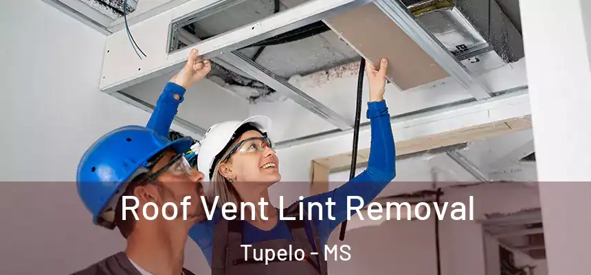 Roof Vent Lint Removal Tupelo - MS