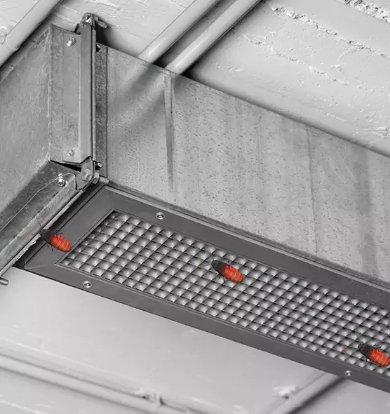 About Air Duct Cockroach Removal in Tupelo, MS
