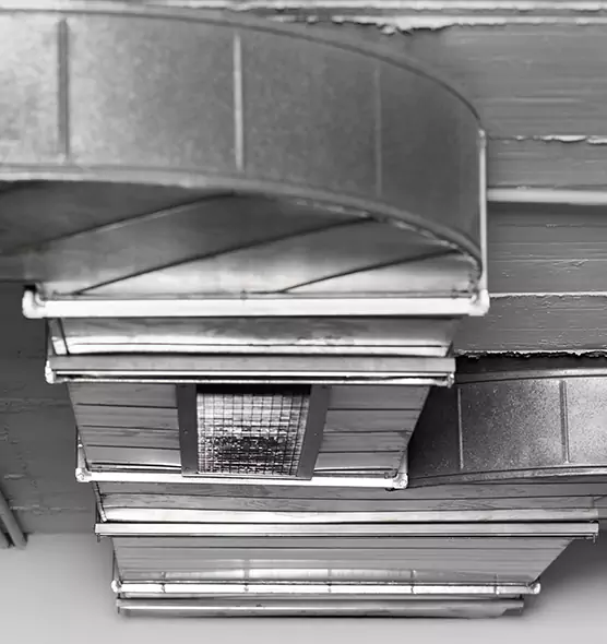 Professional Air Duct Pet Hair Removal in Tupelo, MS