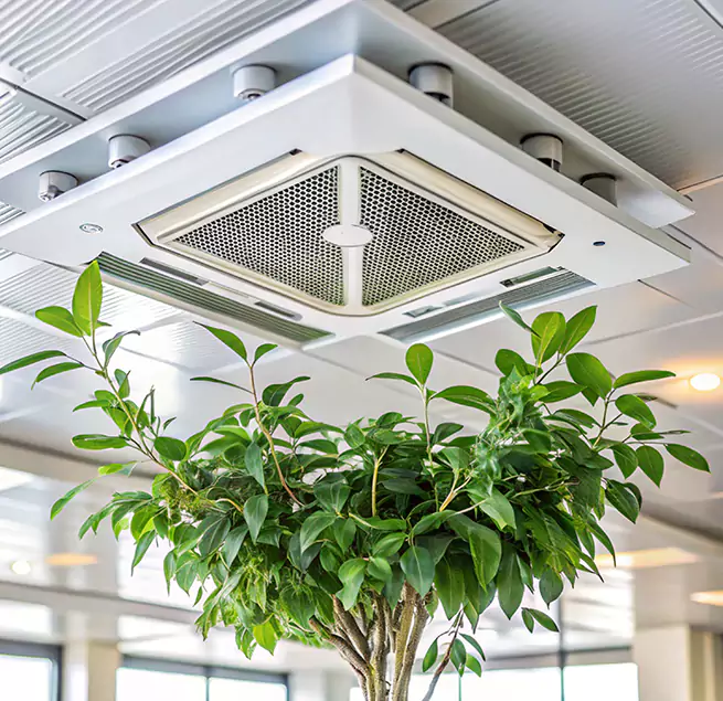 Why Homeowners & Businesses Trust Us in Tupelo, MS?