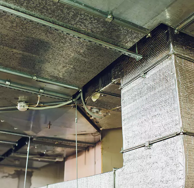 Why Homeowners & Businesses Trust Us in Tupelo, MS?